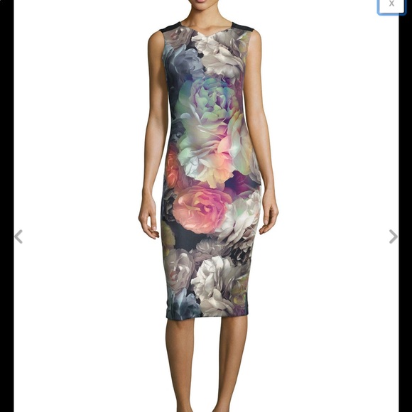 Ted Baker Dresses & Skirts - TED BAKER Mayzi Dress